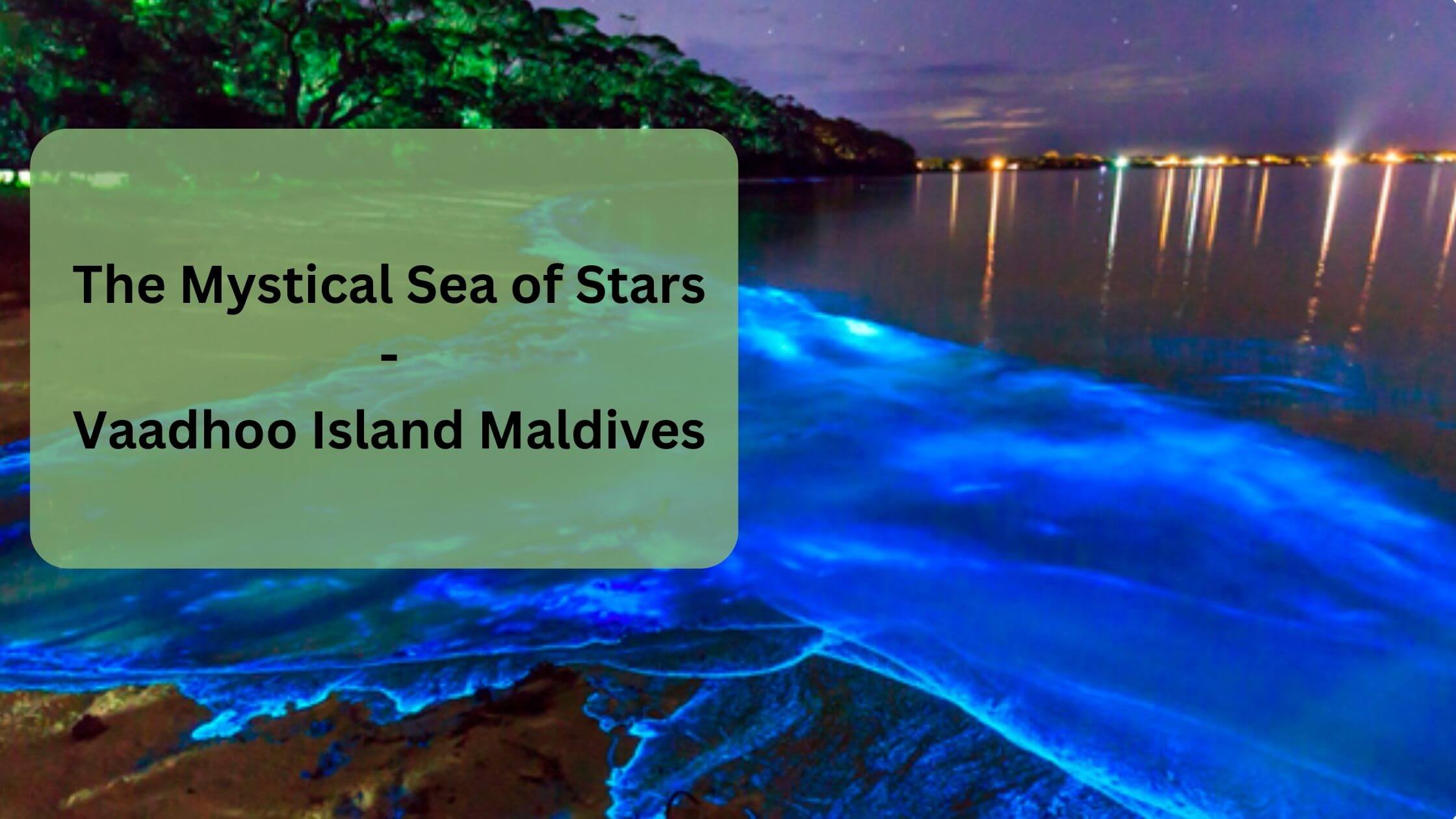 Sea of Stars in Vaadhoo Island, Maldives